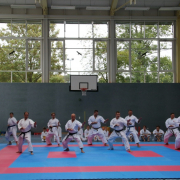 Mitglieder des Karate Dojo Poing bei der Vorführung